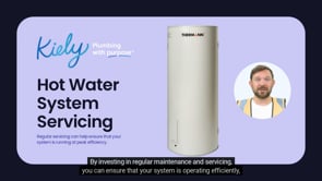 Electric Hot Water System Service (5-Yearly)